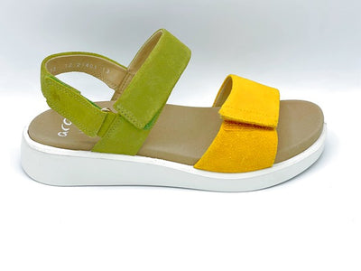 12-21401 - GREEN MULTI