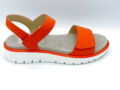 12-33518 - POPPY COMBO