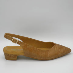 FARAH-C - CAMEL