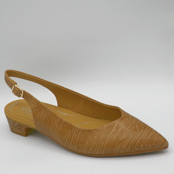 FARAH-C - CAMEL