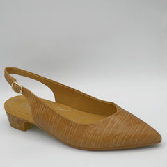 FARAH-C - CAMEL