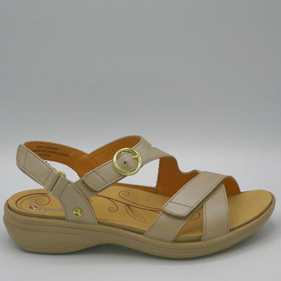 NAGOYA-R - CHAMPAGNE