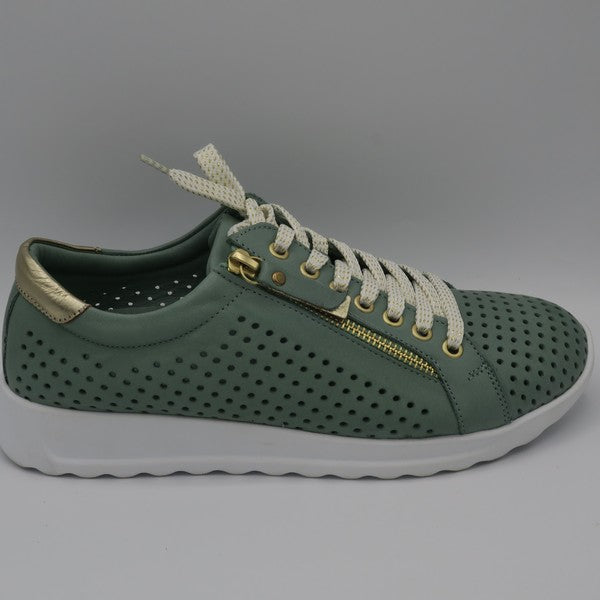 EG256 - EMERALD
