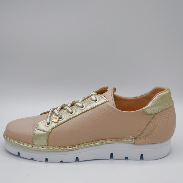 JS-2001 - ROSE